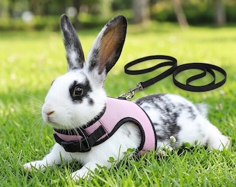 Cat and rabbit harnesses, rabbit vest-style harnesses, small pet leashes, pet travel supplies