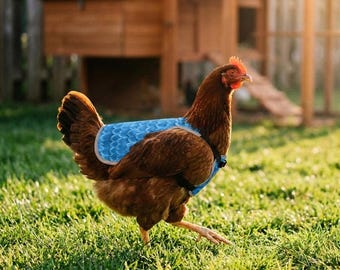 Sillín impermeable para pollos, ropa protectora para mascotas, chalecos abrigados para pollos y patos, chalecos para pollos, ropa para pollos, regalos para mascotas