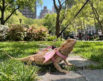 Lizard leather colorful winged chest harness, reptile leash/sling, small pet supplies, suitable for lizards, ideal for outdoor walks