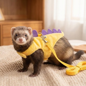 May include: A ferret wearing a yellow harness with purple spikes and a matching leash. The harness has a bell attached. The ferret has brown and white fur and is standing on a patterned surface.