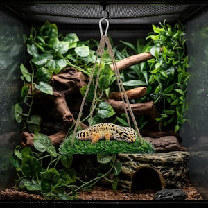 May include: A leopard gecko rests on a hanging green platform with faux grass. The platform is suspended by rope from a metal hook. The background features lush green plants, branches, and a decorative cave, creating a naturalistic terrarium environment.