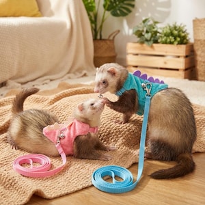 Könnte beinhalten: Zwei Frettchen tragen Dinosaurier-Themen-Geschirre mit passenden Leinen. Ein Frettchen hat ein rosa Geschirr, das andere ein blaues Geschirr. Die Leinen sind rosa und blau. Die Frettchen liegen auf einer beigen Decke.