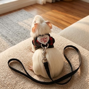 Könnte beinhalten: Ein weißes Meerschweinchen trägt ein rot-schwarz kariertes Geschirr mit einem herzförmigen Aufnäher mit der Aufschrift "I Love You". Das Geschirr ist mit einer schwarzen Leine mit einem silbernen Verschluss verbunden. Das Meerschweinchen sitzt auf einem beigen Kissen.