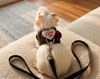 Guinea pig leash, chinchilla harness, ferret/rabbit leash, pet harness