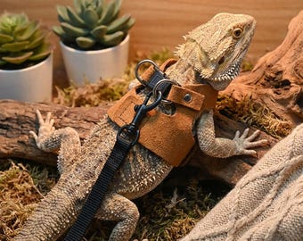 Eidechsenleine, Leine/Geschirr, für Eidechsen, Einheitsgröße, sicher für Spaziergänge im Freien, Haustiergeschenk