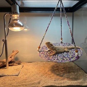 May include: A bearded dragon lizard rests on a crocheted hammock suspended in a terrarium. The hammock is a mix of purple, green, and white yarn, with wooden beads. A heat lamp provides light and warmth. The terrarium has a sand substrate.