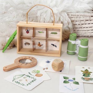 May include: A wooden insect collection box with six compartments containing various insect specimens, a pair of green binoculars, a wooden magnifying glass, a wooden die, and several illustrated nature cards with botanical and insect imagery.