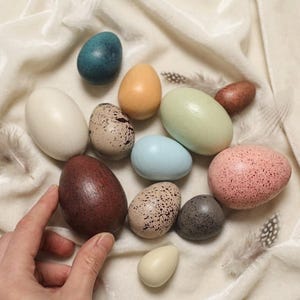 May include: A selection of painted wooden eggs in shades of blue, pink, and brown, displayed on cream fabric. Some eggs feature speckled designs. Feathers are scattered around the eggs.