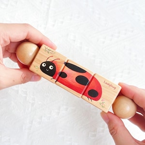 May include: Wooden toy with a ladybug design. The toy is made of light-coloured wood and has a red and black ladybug illustration. The toy has rounded wooden ends and the word "Ladybug" is printed on the side.