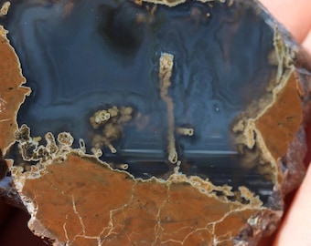 Thunderegg Specimen - Item R02991