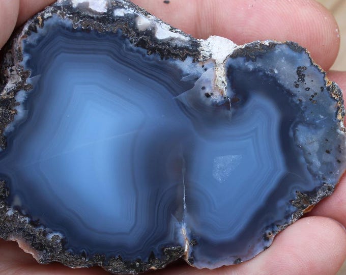 Mexican Coconut Specimen - Item R02959