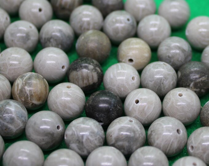 Coral Fossil Beads - 12mm Round - Package of 59 beads