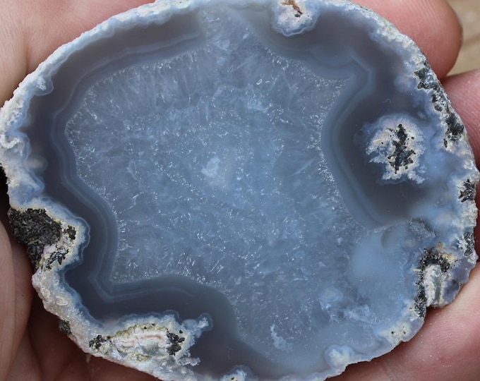 Mexican Coconut Specimen - Item R02967