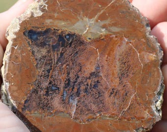 Moss Agate Thunderegg Specimen - Item R02992