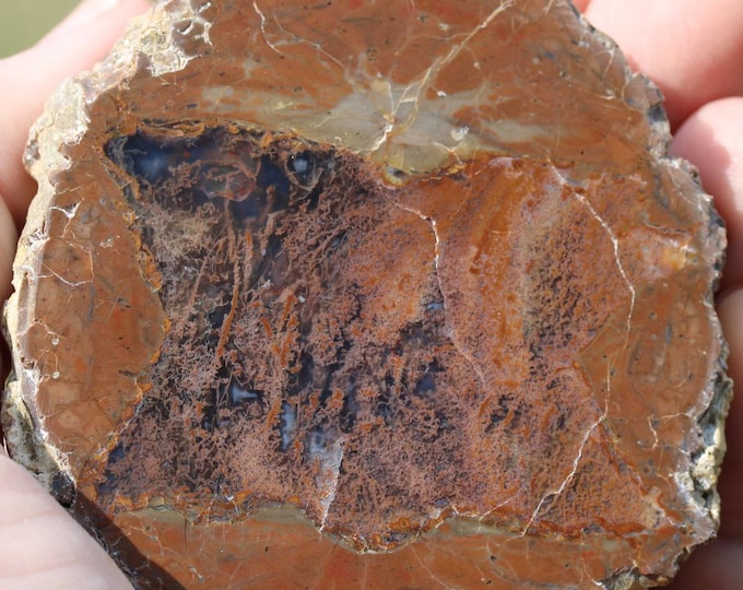 Moss Agate Thunderegg Specimen - Item R02992