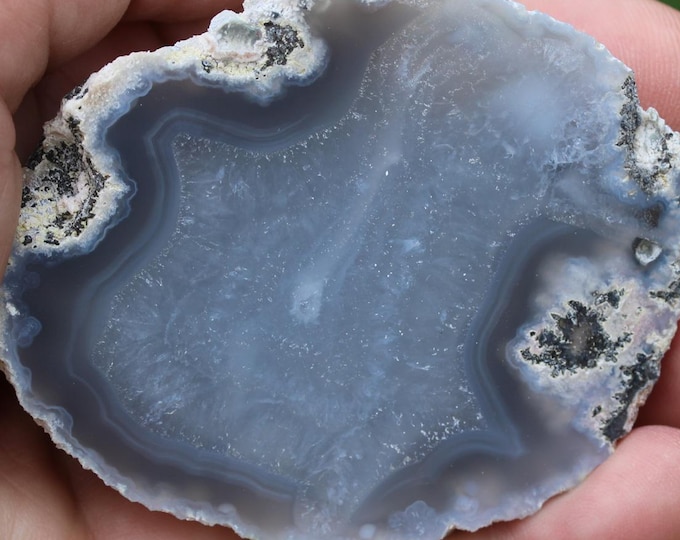 Mexican Coconut Specimen - Item R02971