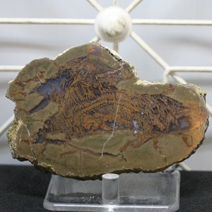 Moss Agate Thunderegg Specimen - Item R02201