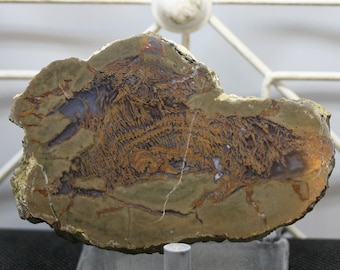 Moss Agate Thunderegg Specimen - Item R02201