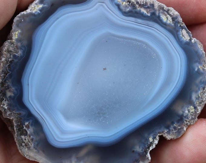 Mexican Coconut Specimen - Item R02961