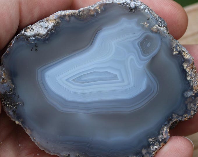 Mexican Coconut Specimen - Item R02966