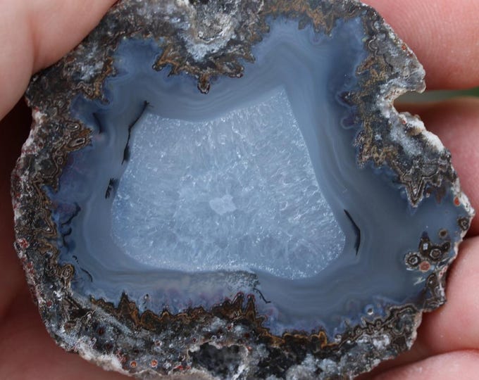 Mexican Coconut Specimen - Item R02965