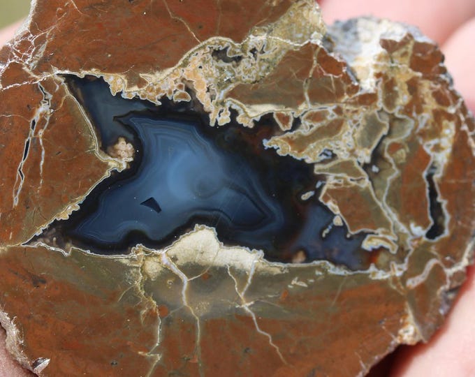 Thunderegg Specimen - Item R02998