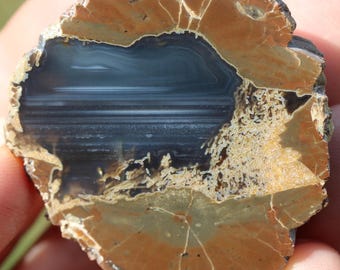 Thunderegg Specimen - Item R02993
