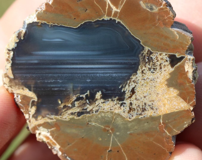Thunderegg Specimen - Item R02993