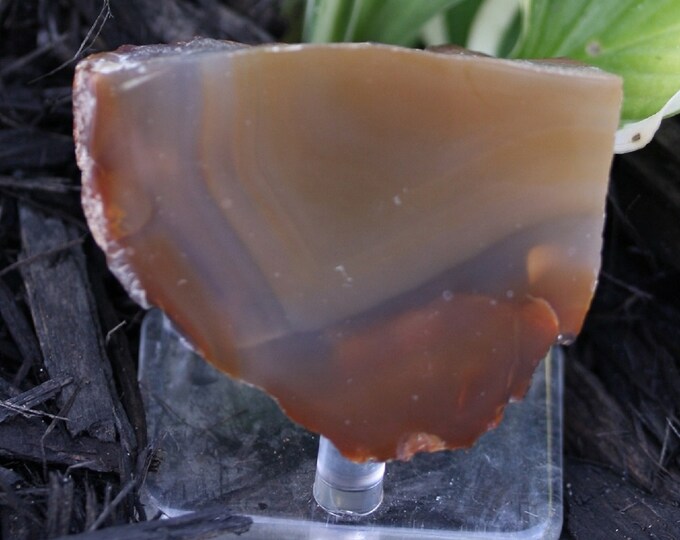 Brazilian Agate Specimen - R02614
