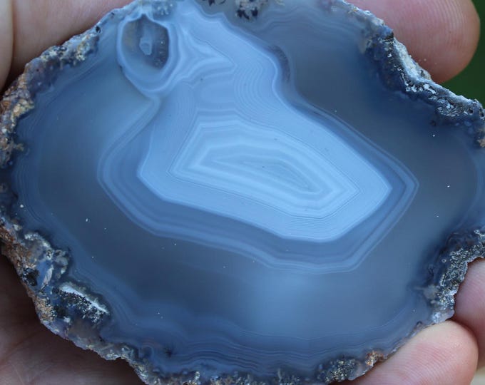 Mexican Coconut Specimen - Item R02957