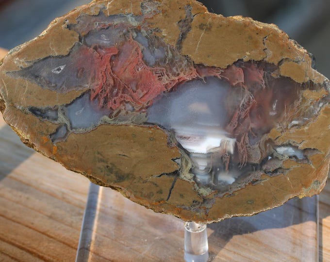 Moss Agate Thunderegg Specimen - Item R02979