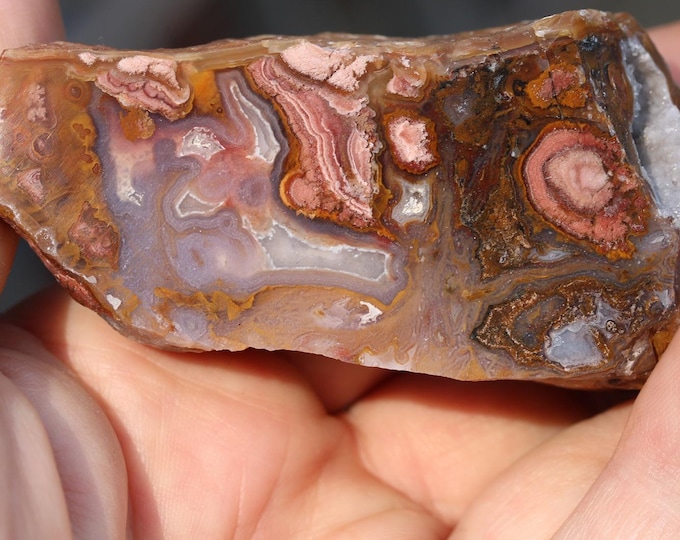 Flower Garden Specimen - R02973