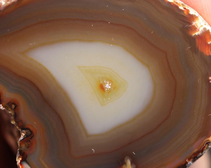 Brazilian Agate Specimen - R02369