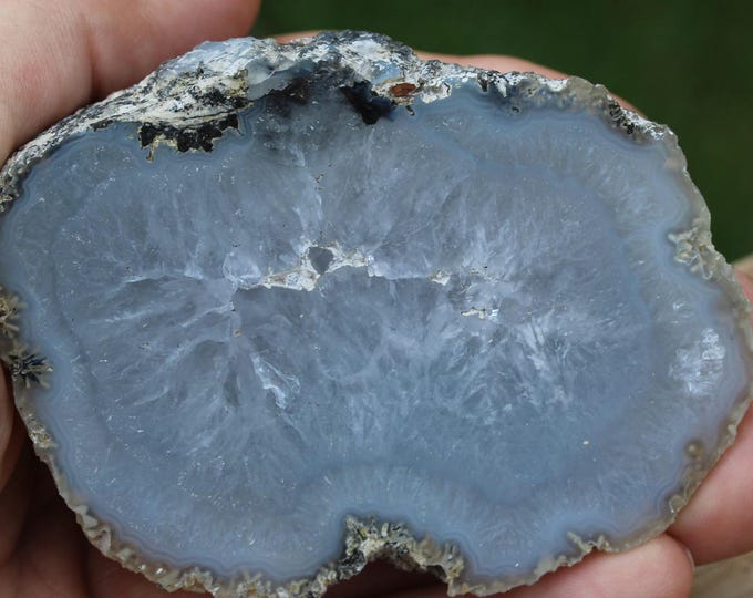 Mexican Coconut Specimen - Item R02963