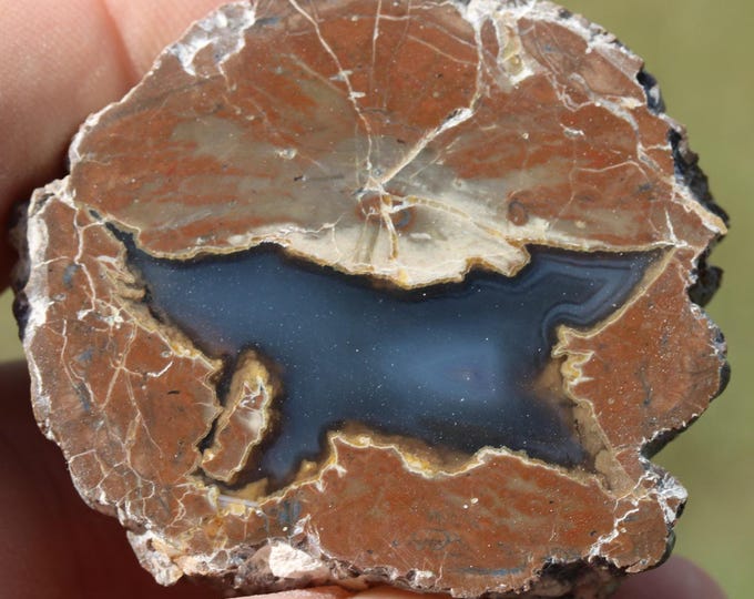 Thunderegg Specimen - Item R02989