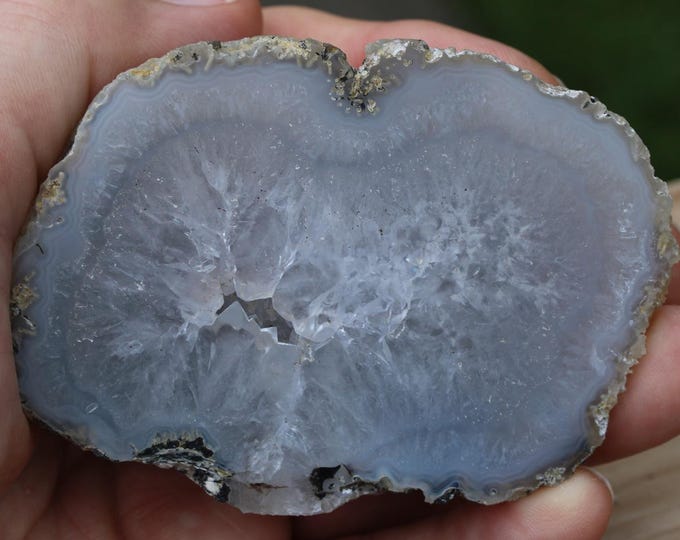 Mexican Coconut Specimen - Item R02968