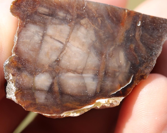 Brecciated Jasper Specimen - R02990