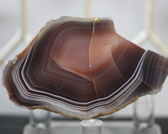 Botswana Agate Specimen - R02783