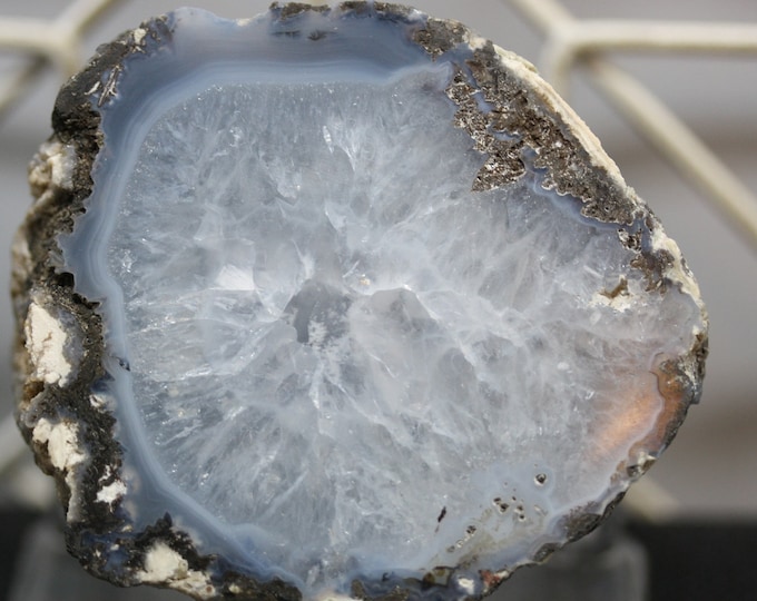 Mexican Coconut Specimen - Item R02139