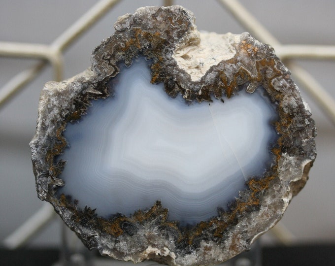 Mexican Coconut Specimen - Item R02442
