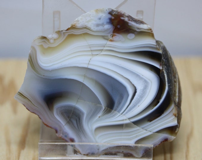 Botswana Agate Specimen - R02852