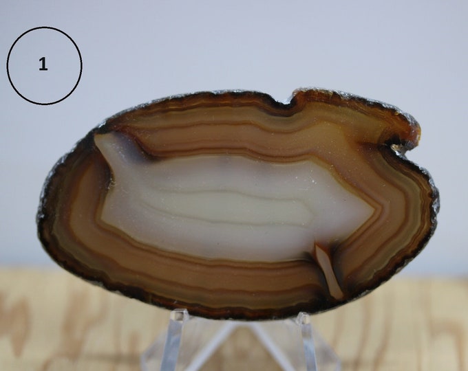 Agate Polished Slab Display Specimen - 7 To Choose From