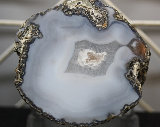 Mexican Coconut Specimen - Item R02172