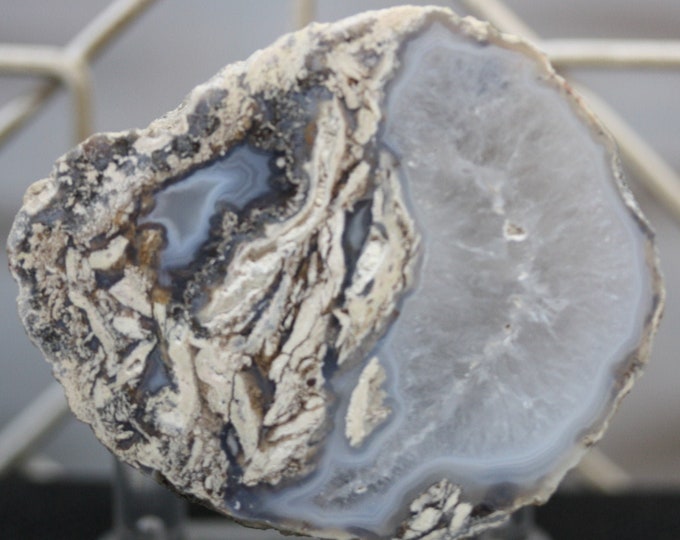 Mexican Coconut Specimen - Item R02341