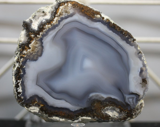 Mexican Coconut Specimen - Item R02202