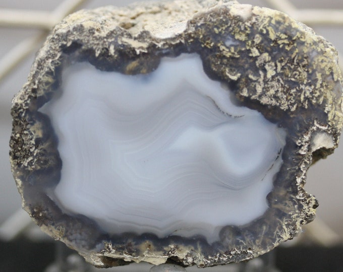 Mexican Coconut Specimen - Item R02340