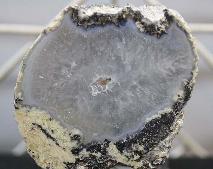 Mexican Coconut Specimen - Item R02333