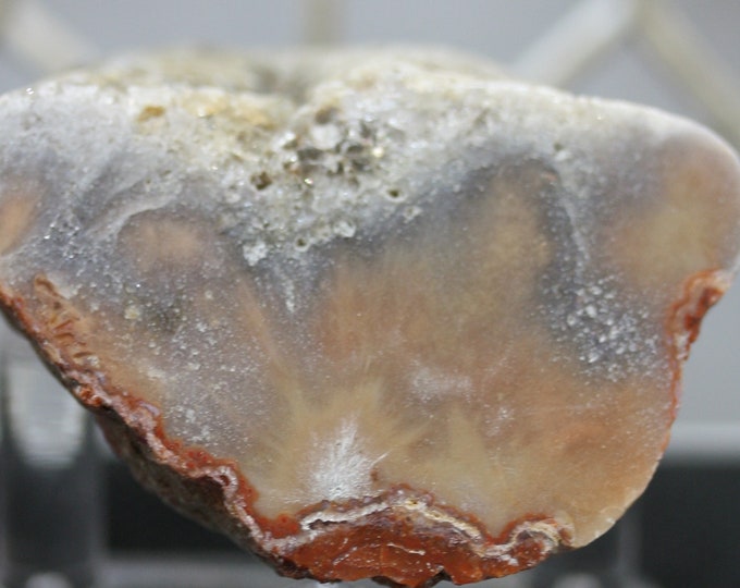 Lake Superior Agate (half) - Item R02615