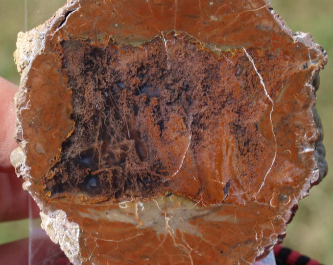 Moss Agate Thunderegg Specimen - Item R02988