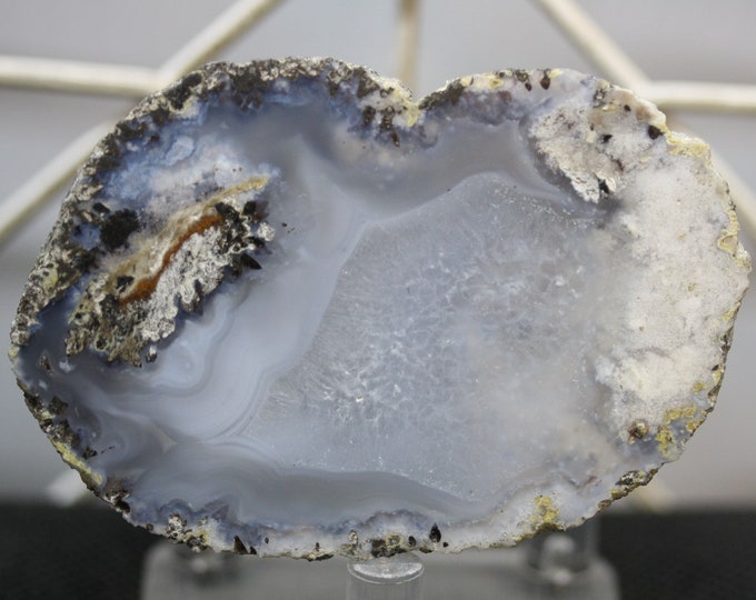 Mexican Coconut Specimen - Item R02447